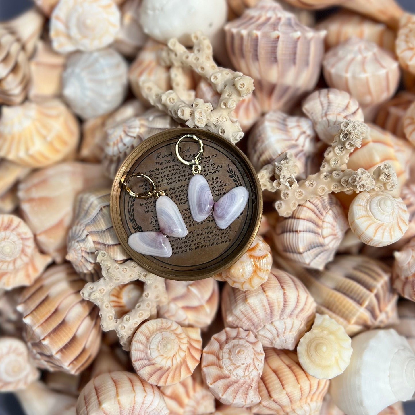 Coquina Shell Earrings