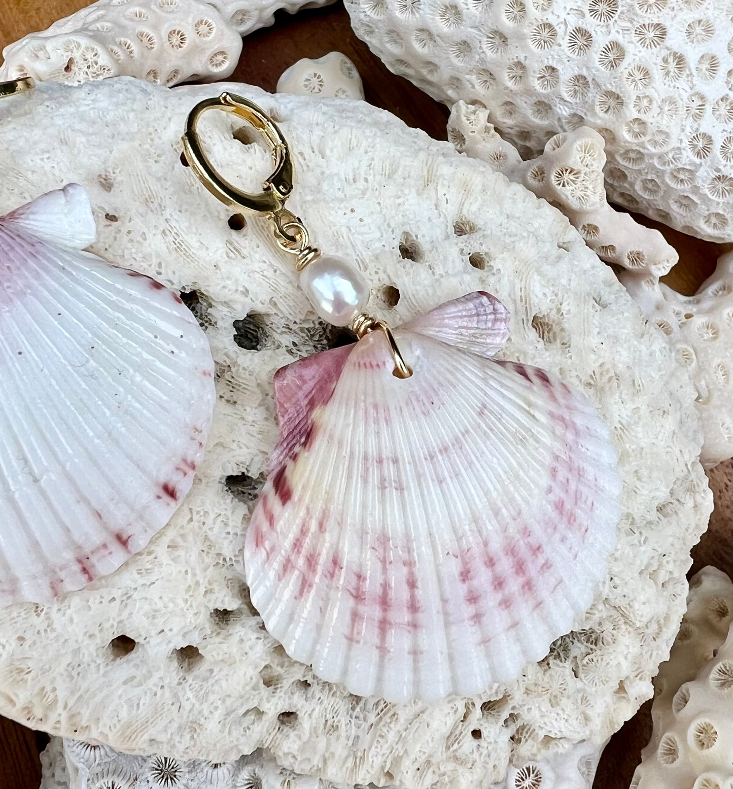 Scallop Shell Earrings