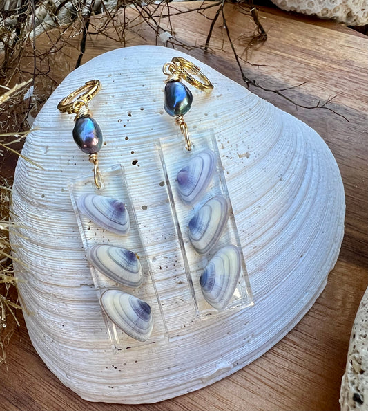 Coquina Shell Earrings