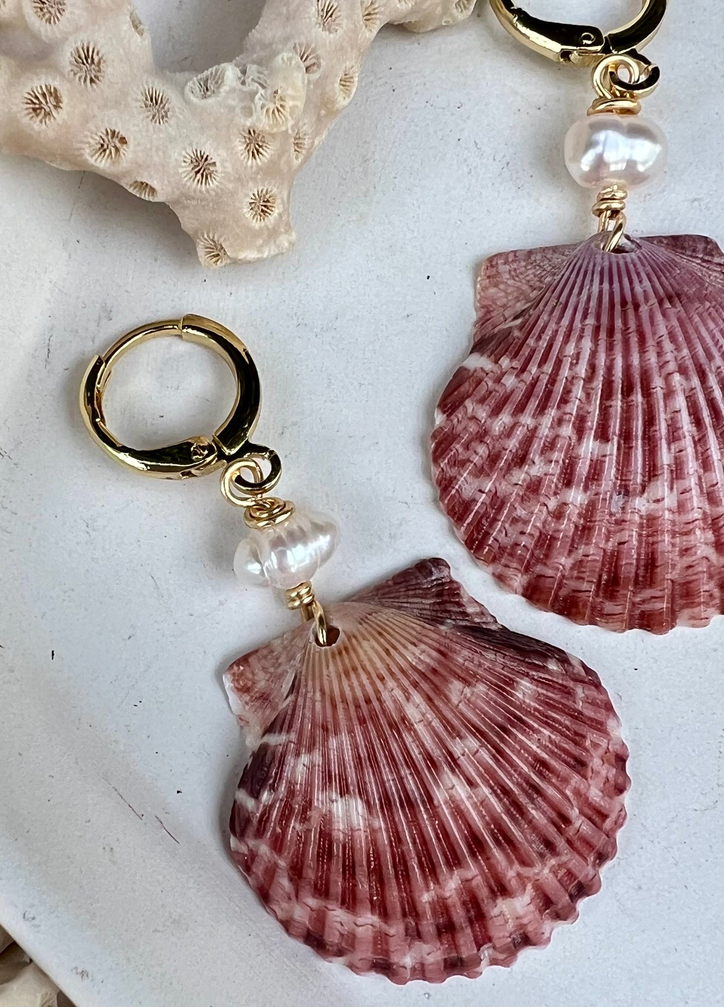 Scallop Shell Earrings