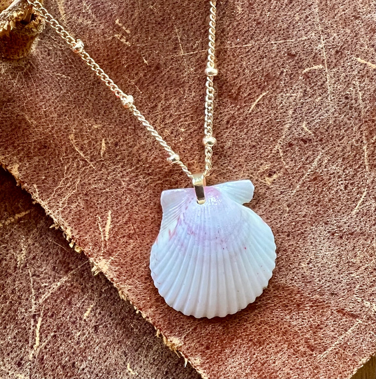 Shell Necklace on Short Gold Chain