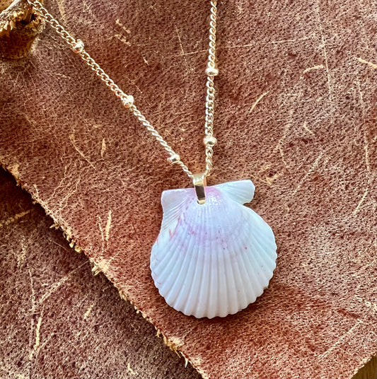 Shell Necklace on Short Gold Chain