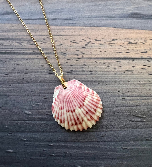 Shell Necklace on Gold Chain