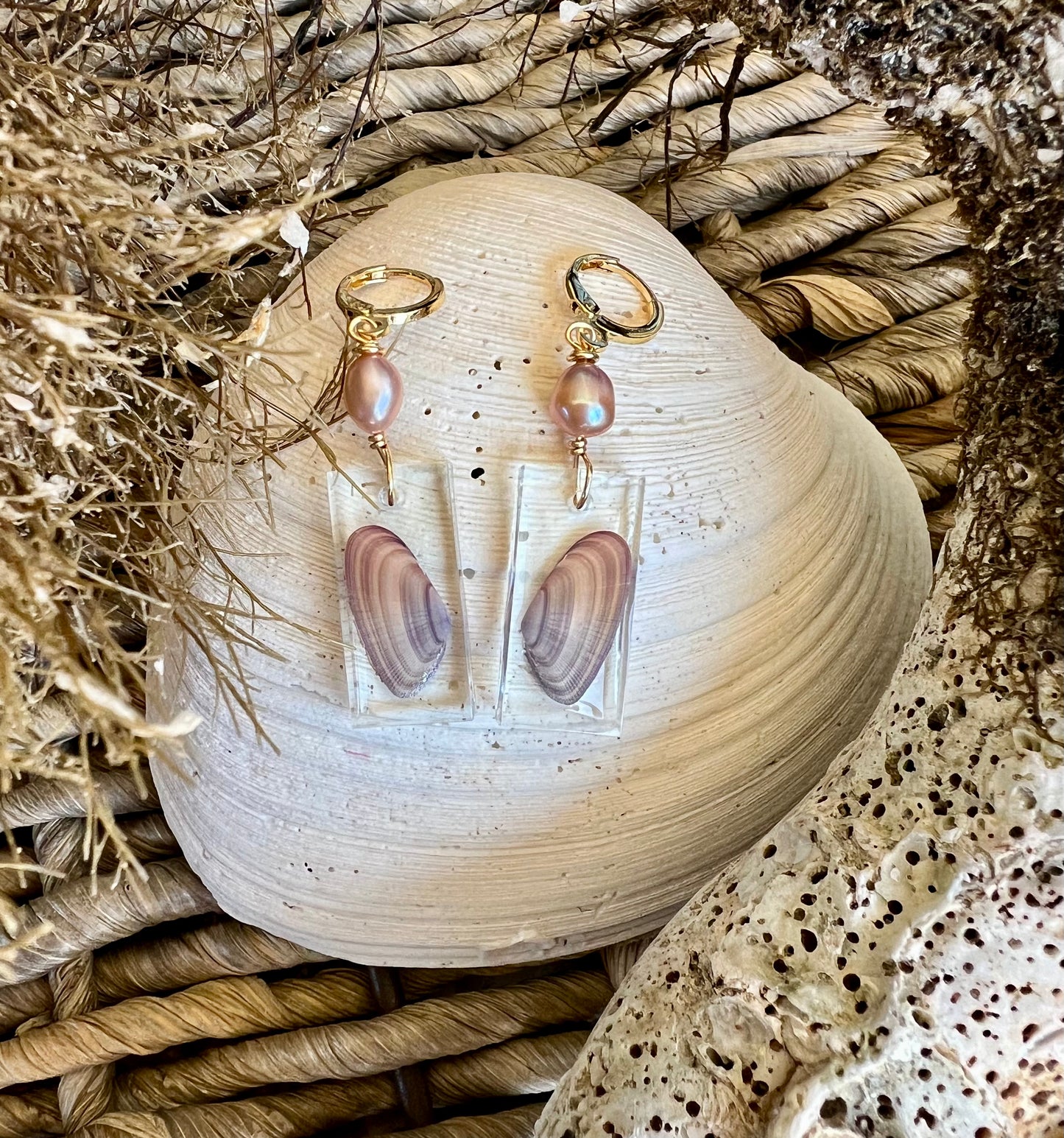 Coquina Shell Earrings