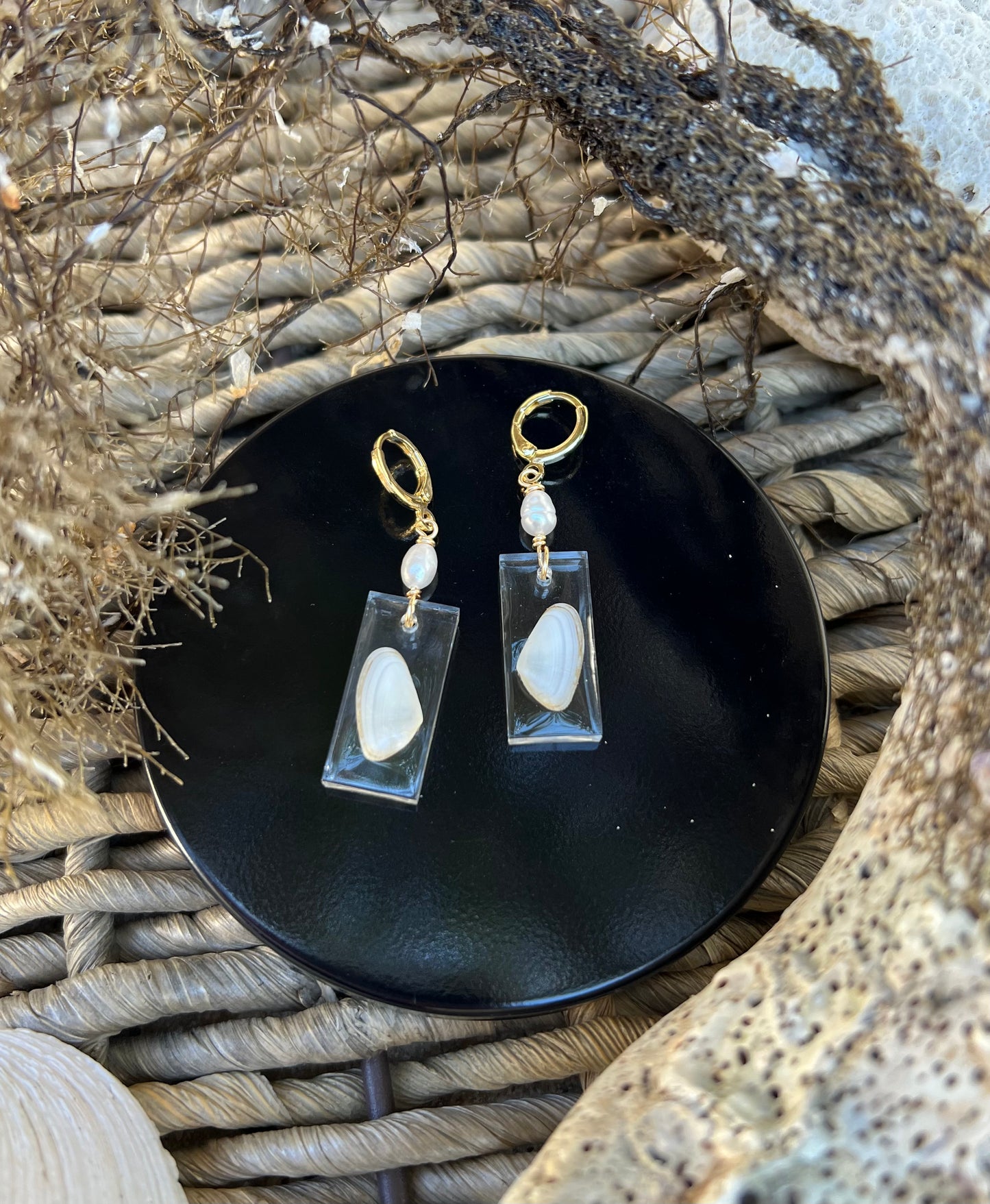 Coquina Shell Earrings