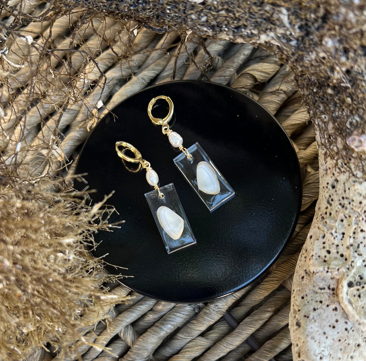 Coquina Shell Earrings