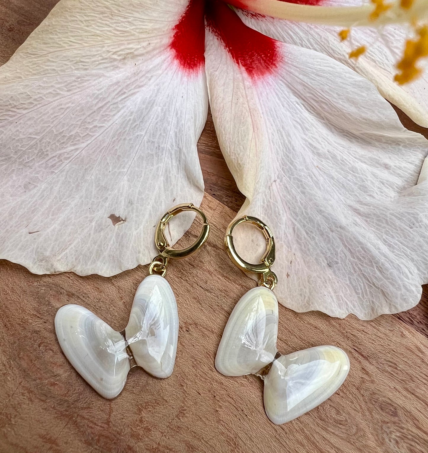 Coquina Shell Earrings