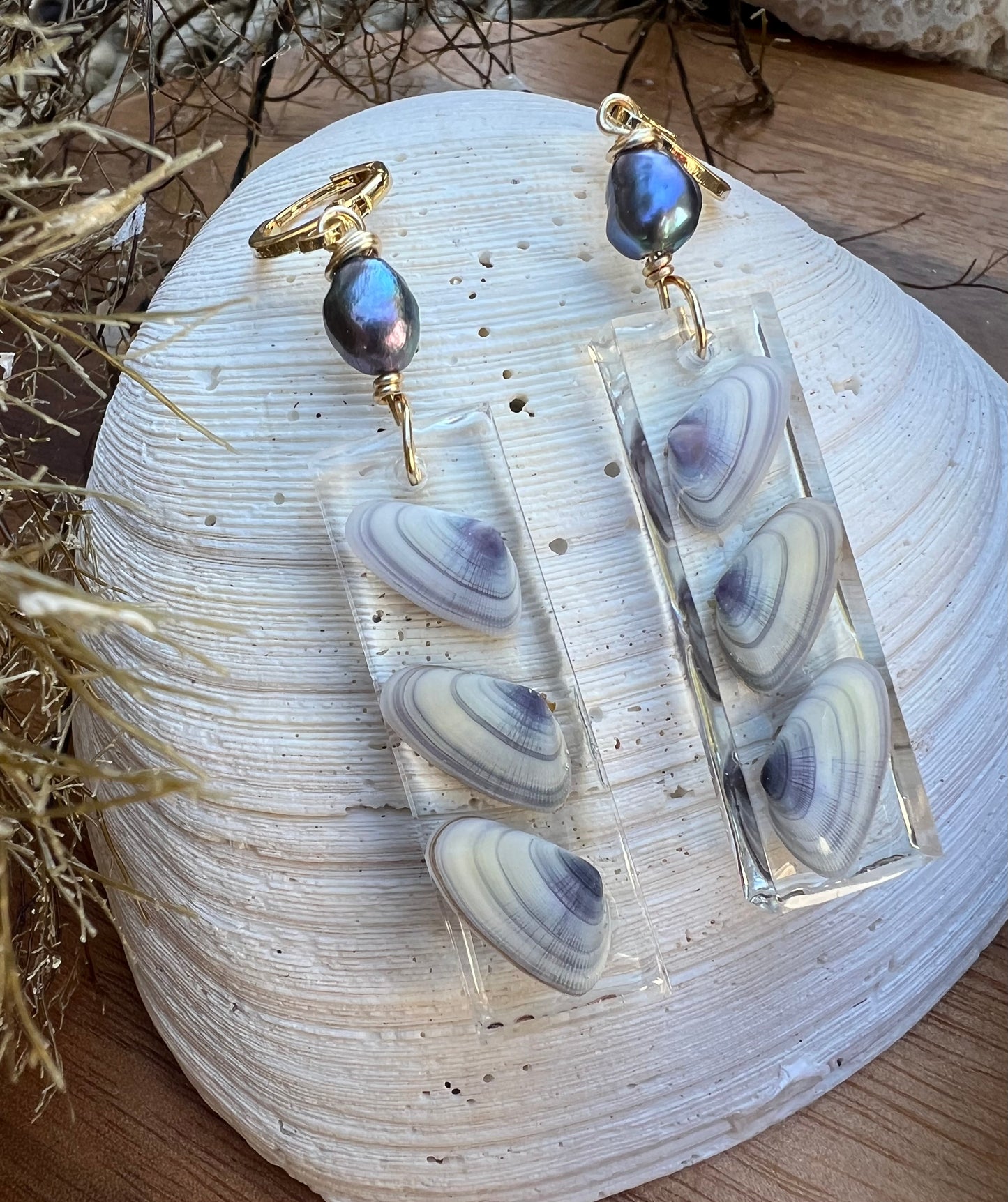 Coquina Shell Earrings