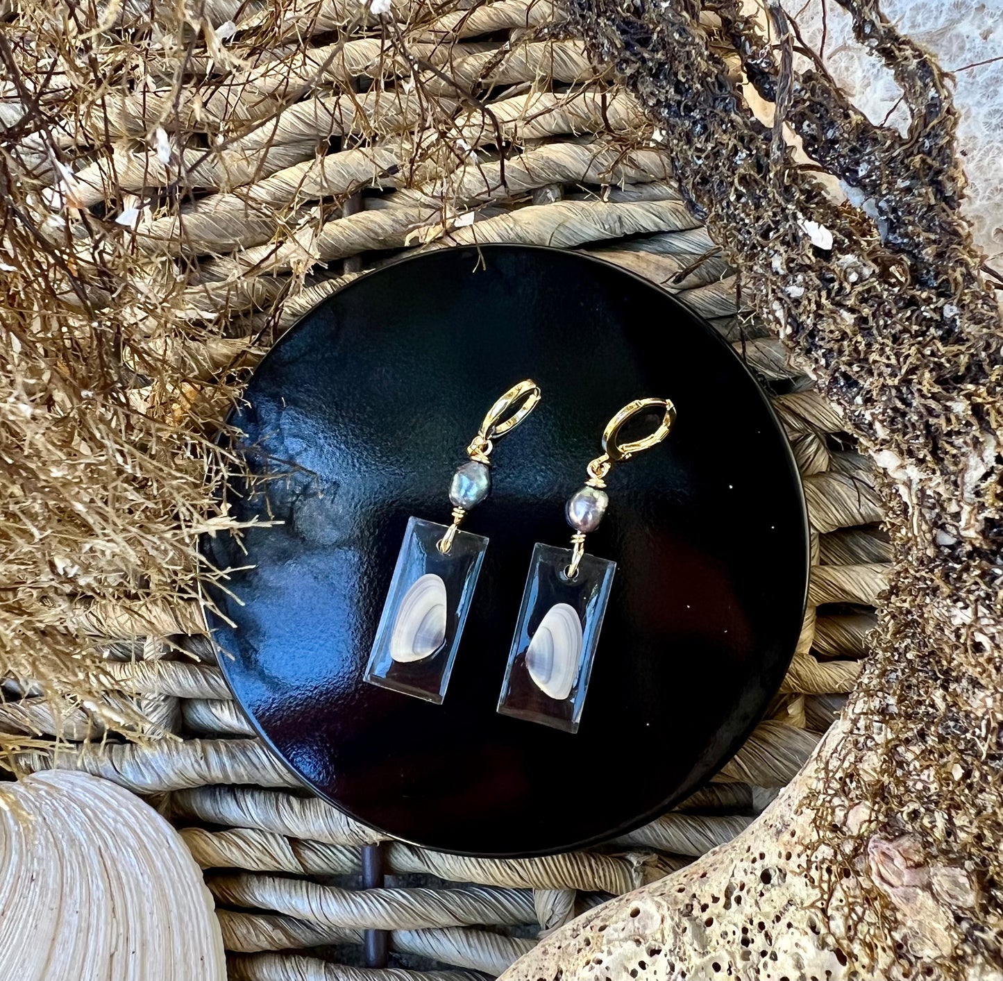 Coquina Shell Earrings