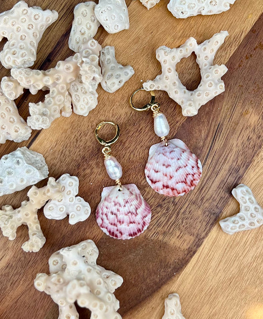 Scallop Shell Earrings