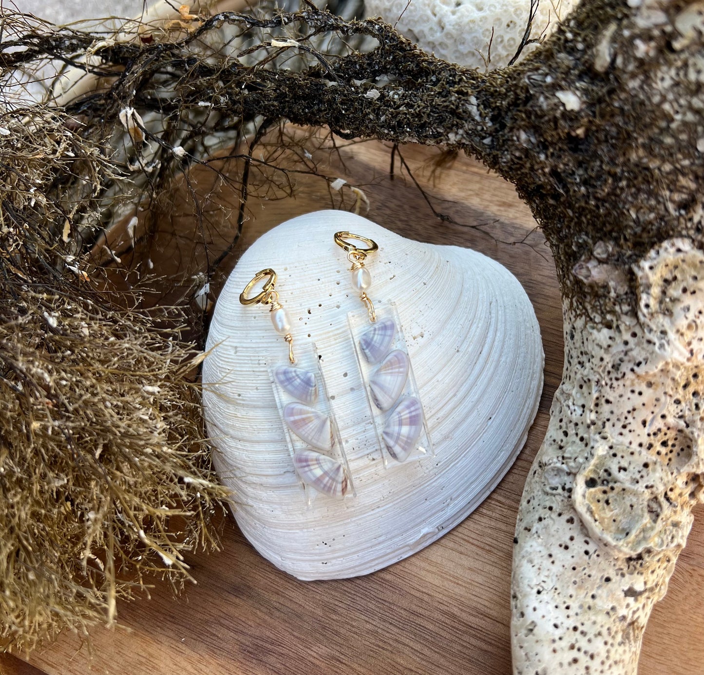 Coquina Shell Earrings