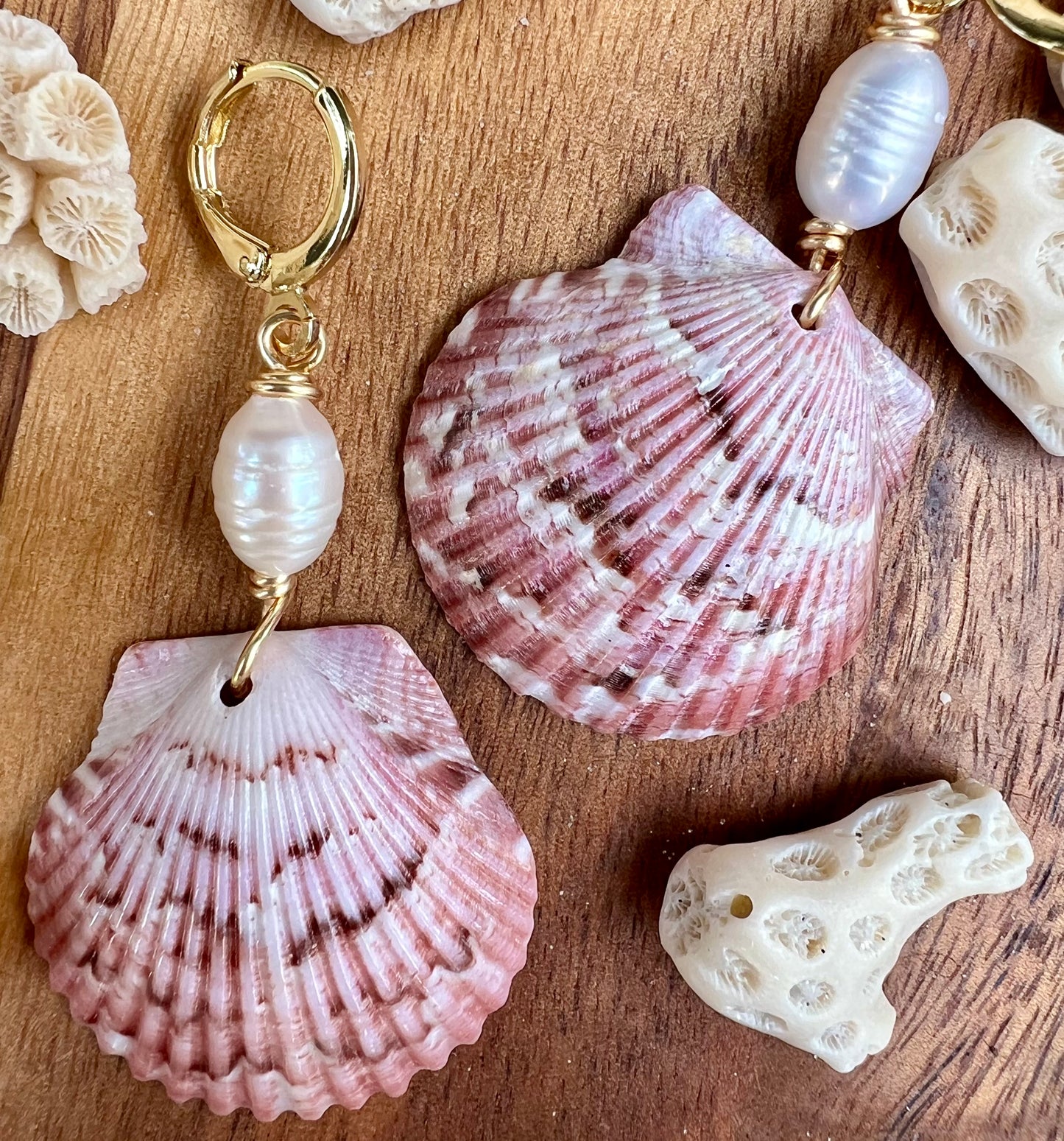 Scallop Shell Earrings