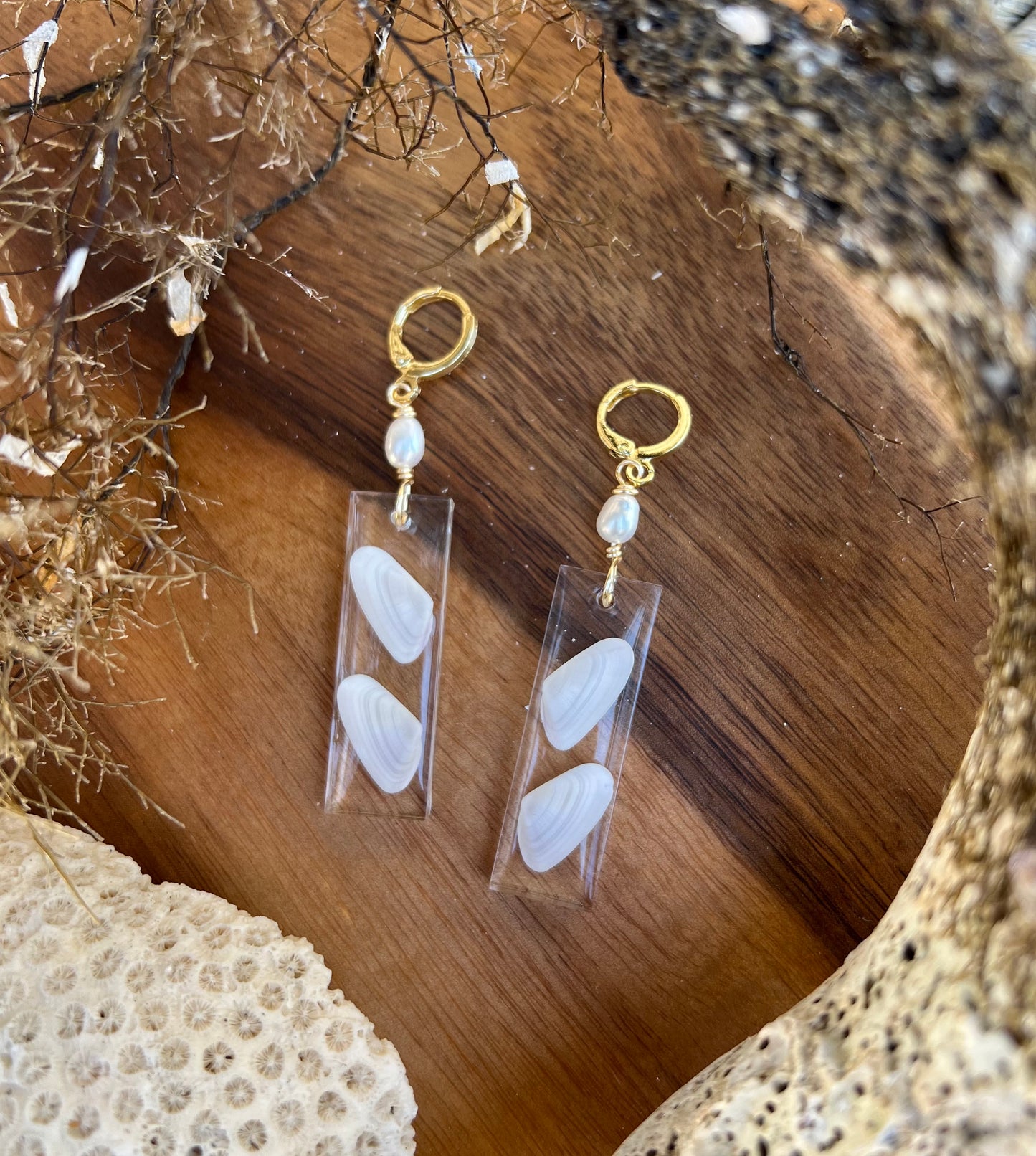 Coquina Shell Earrings