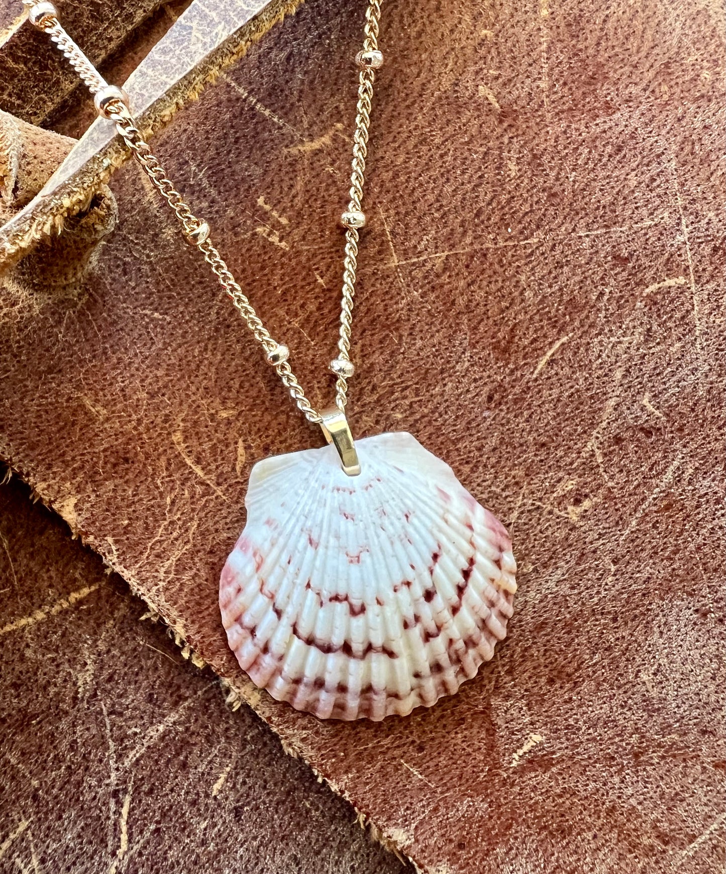 Shell Necklace on Short Gold Chain