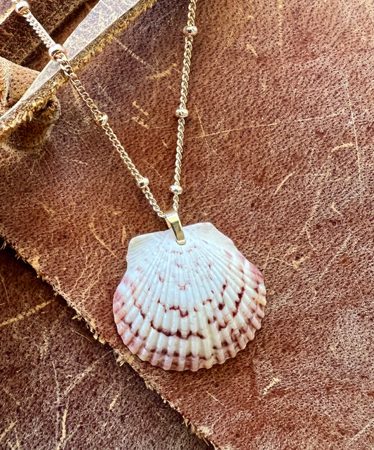 Shell Necklace on Short Gold Chain