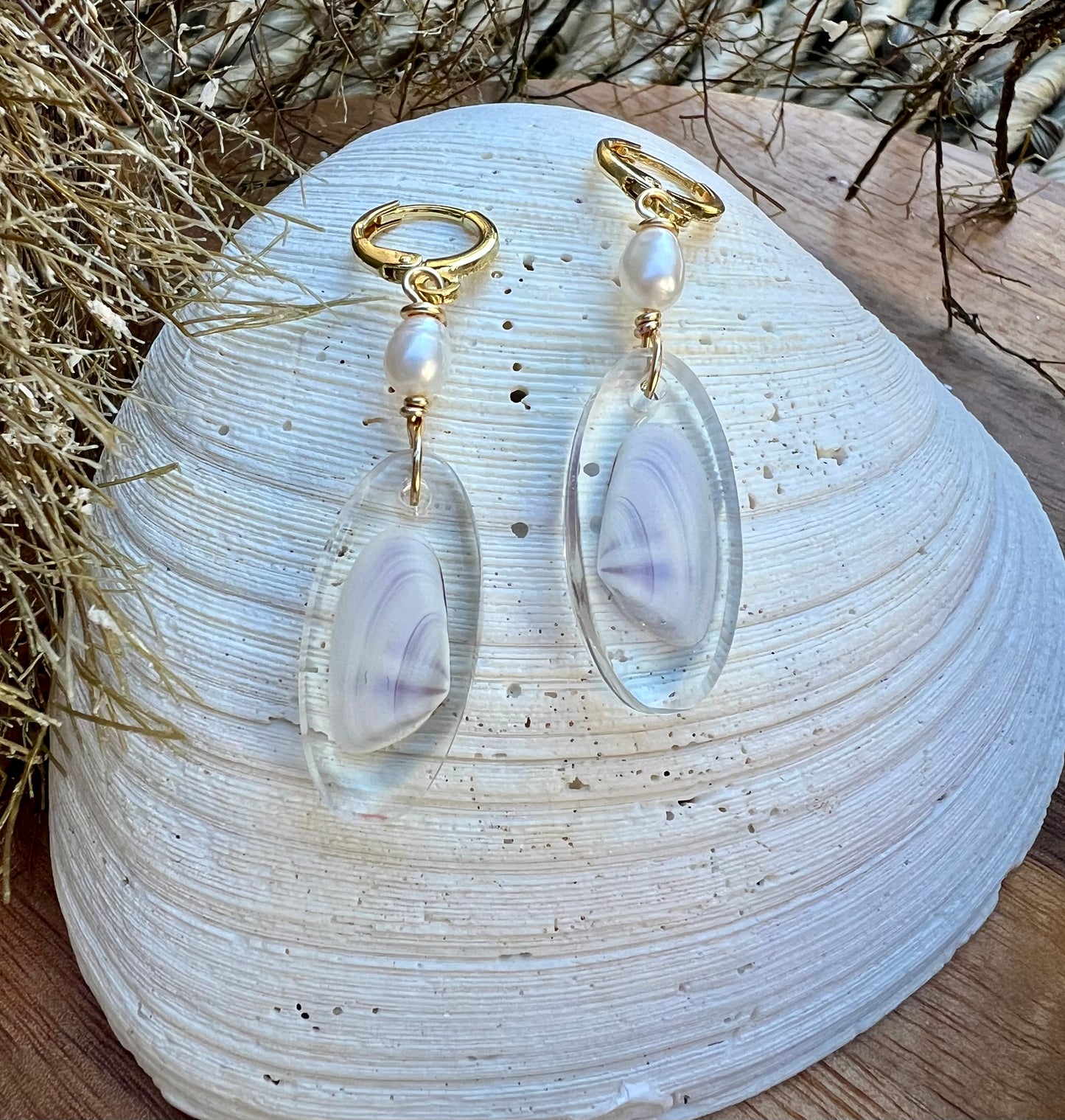 Coquina Shell Earrings