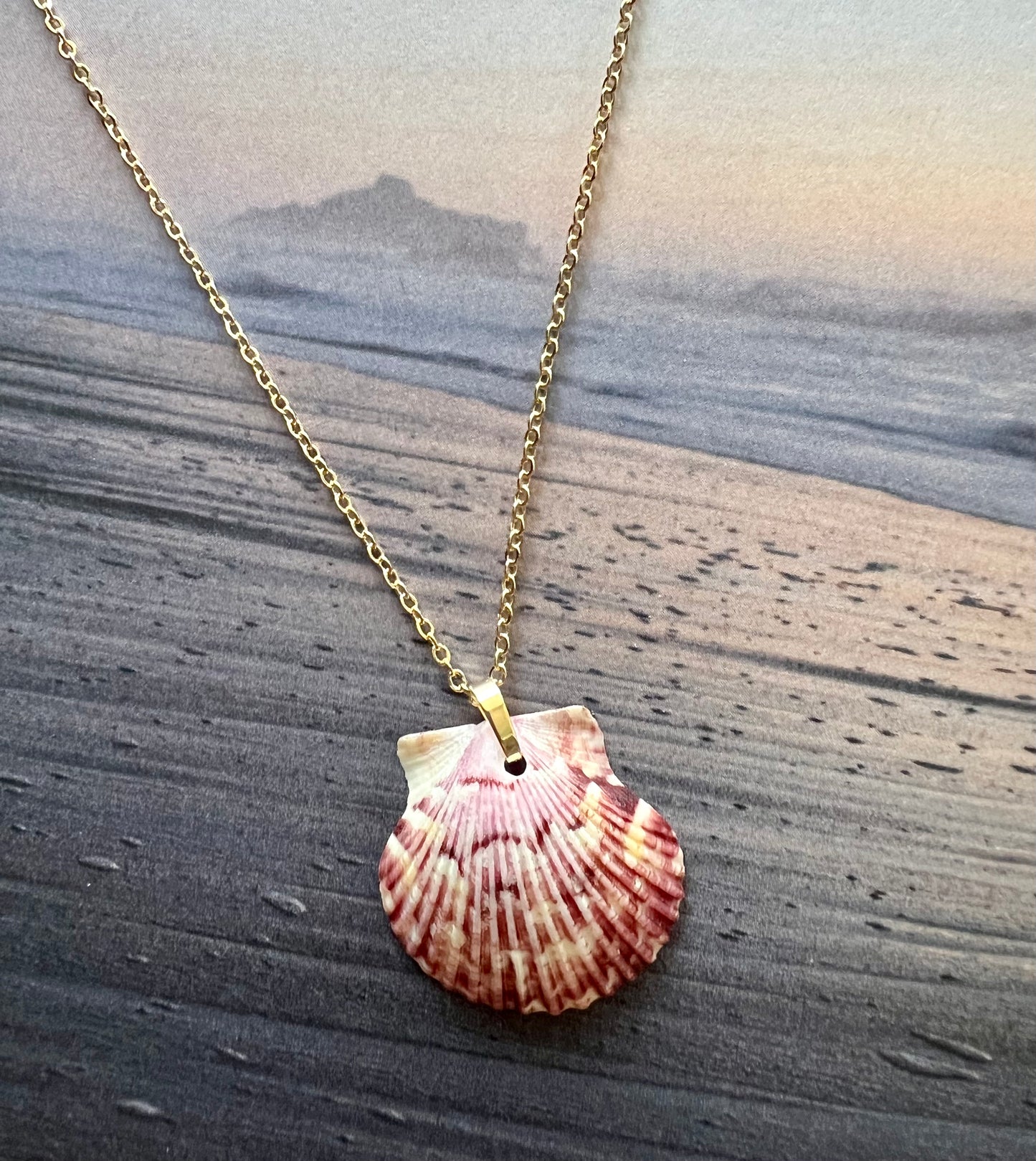 Shell Necklace on Gold Chain