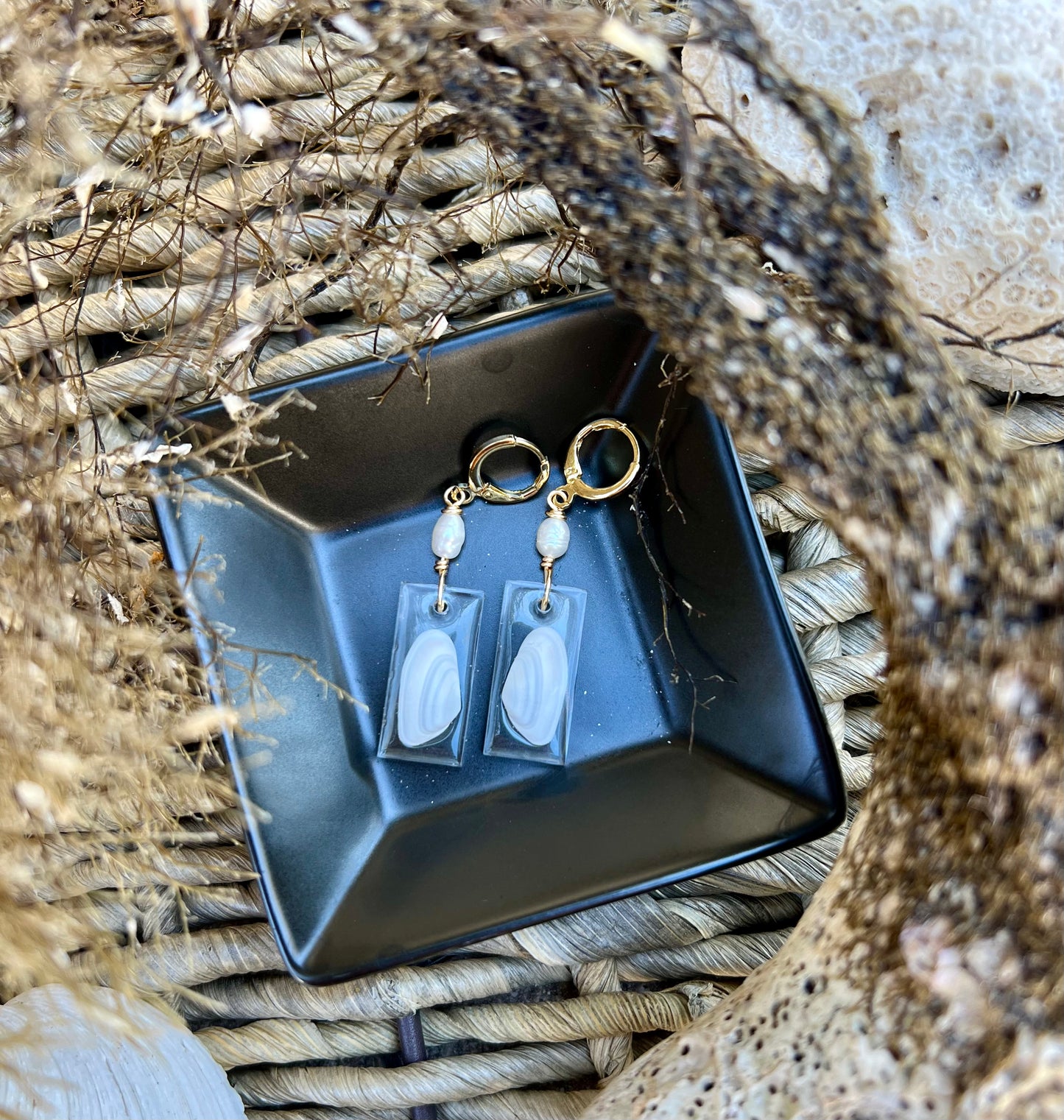 Coquina Shell Earrings