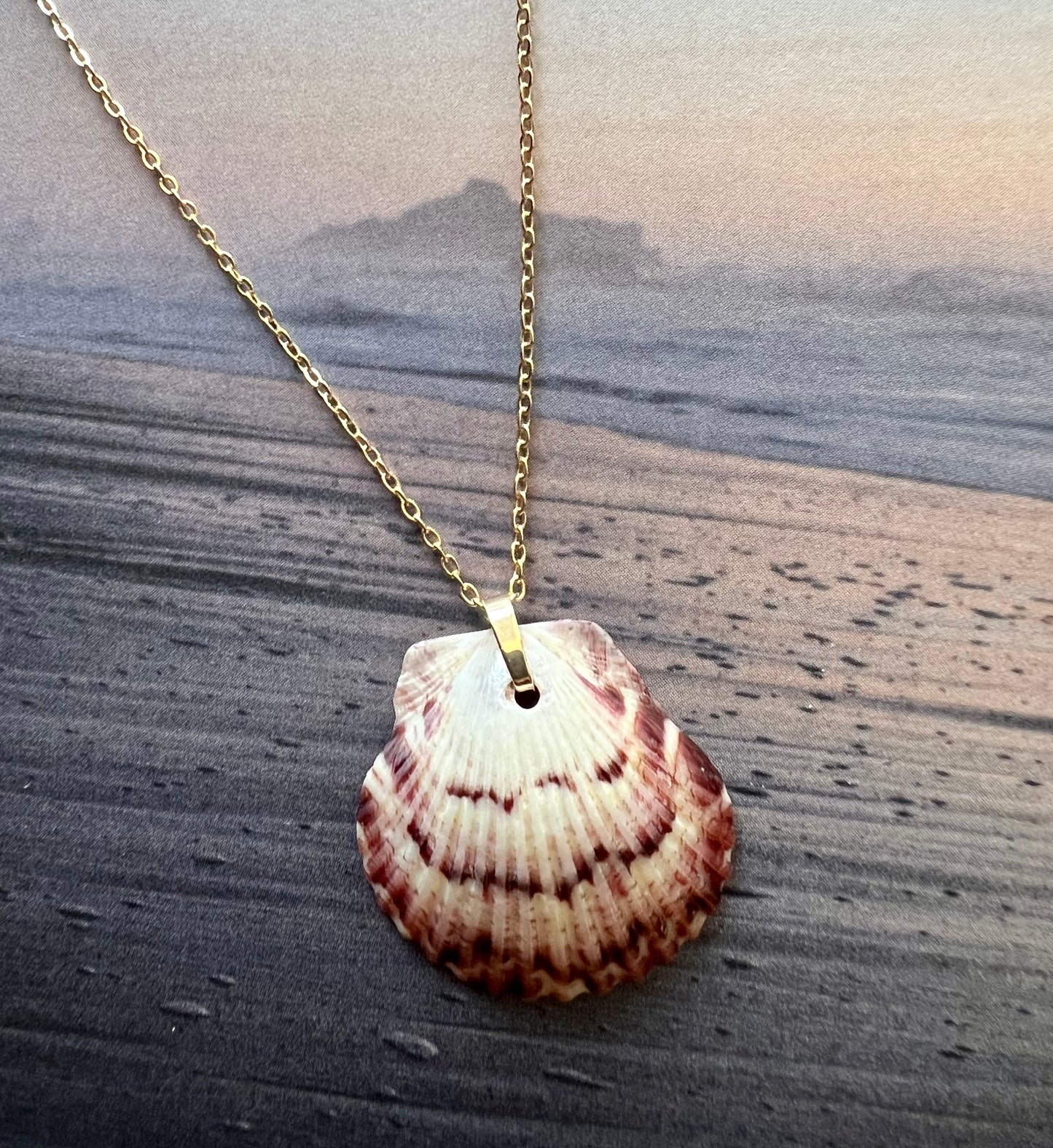 Shell Necklace on Gold Chain