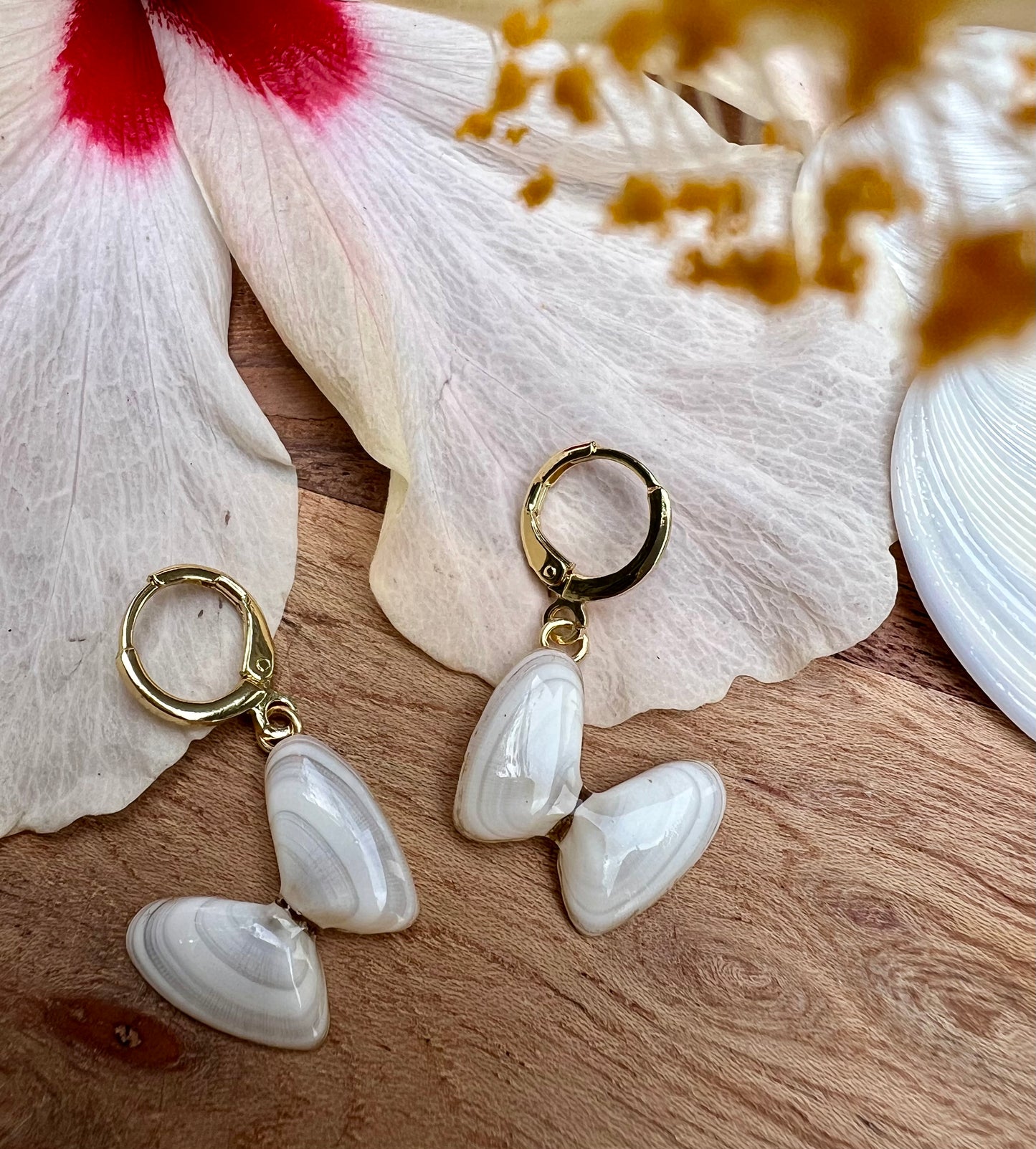 Coquina Shell Earrings