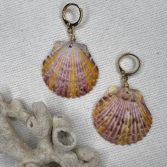 Shell Earrings