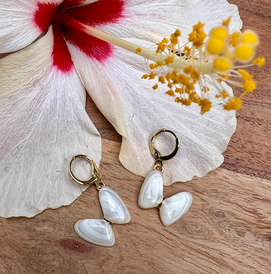 Coquina Shell Earrings