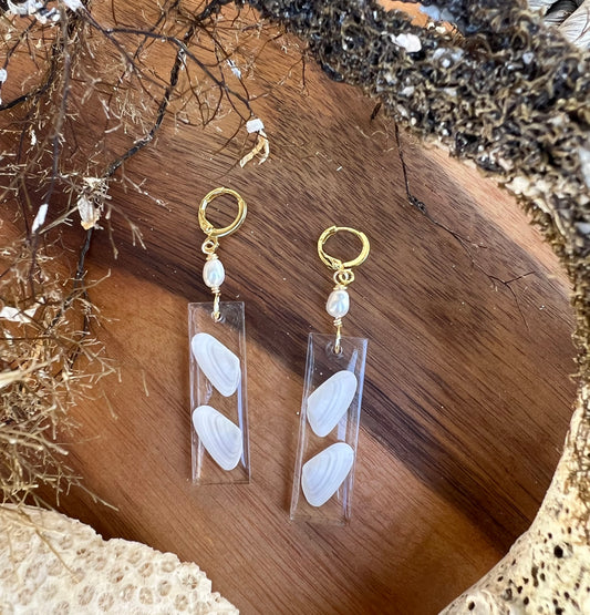 Coquina Shell Earrings