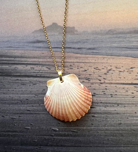 Shell Necklace on Gold Chain