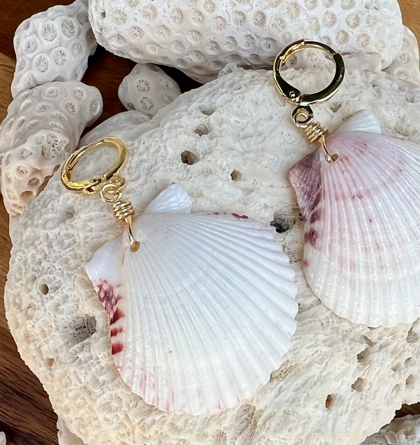 Scallop Shell Earrings