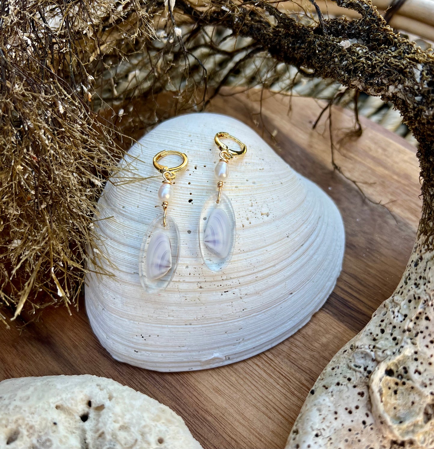 Coquina Shell Earrings