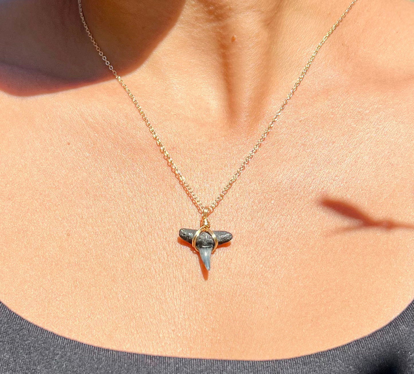 Shark tooth Necklace