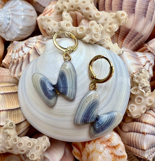 Coquina Shell Earrings