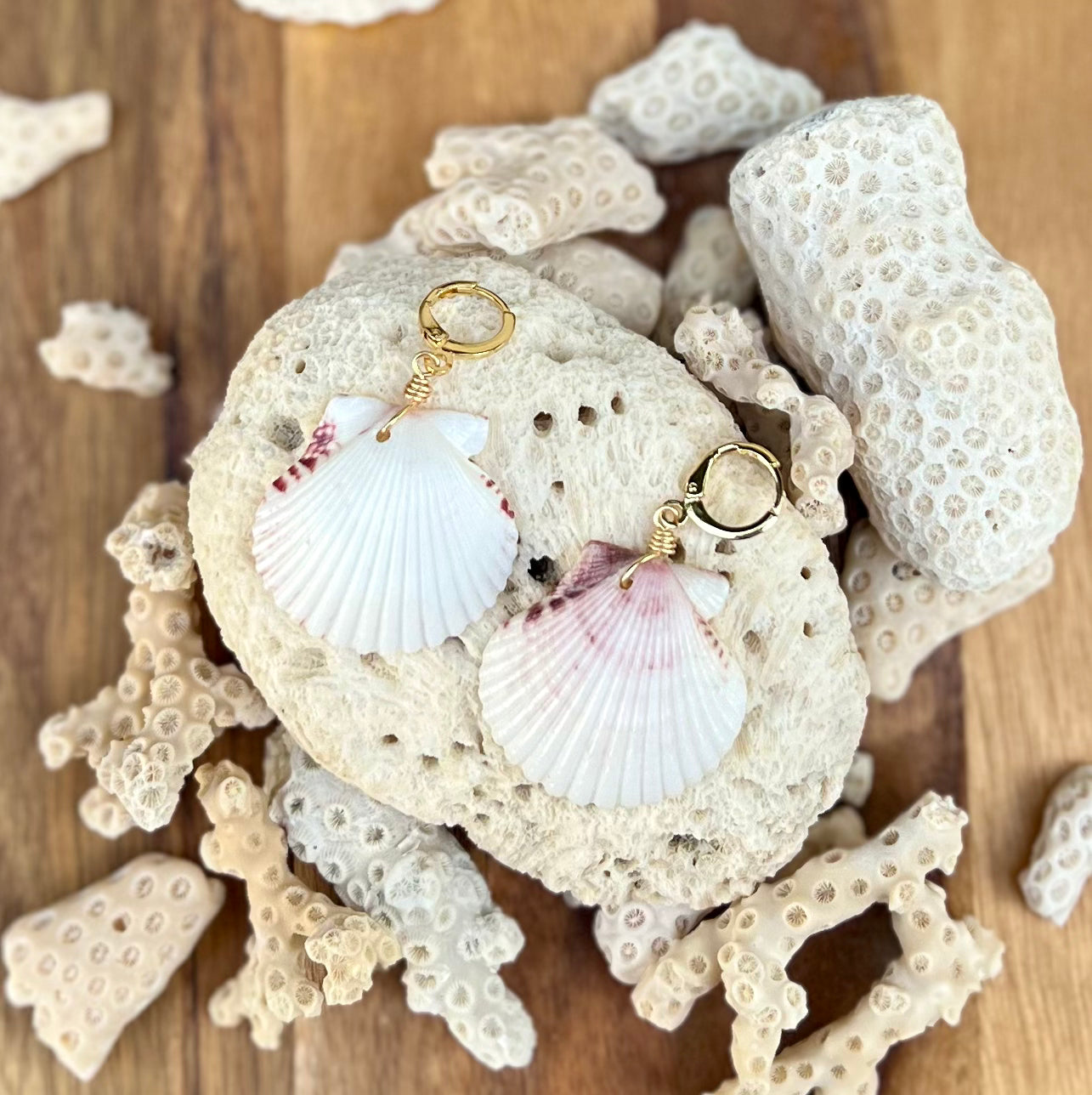 Scallop Shell Earrings