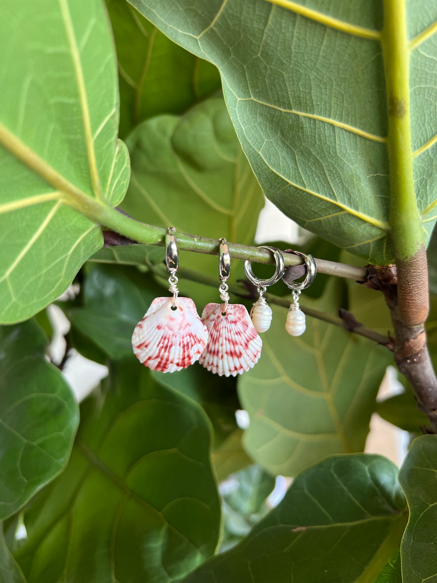 White & Pink Shells and Pearl Earring Set