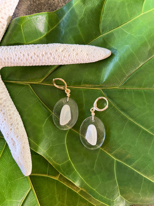 Coquina Clam in Oval Resin Earrings