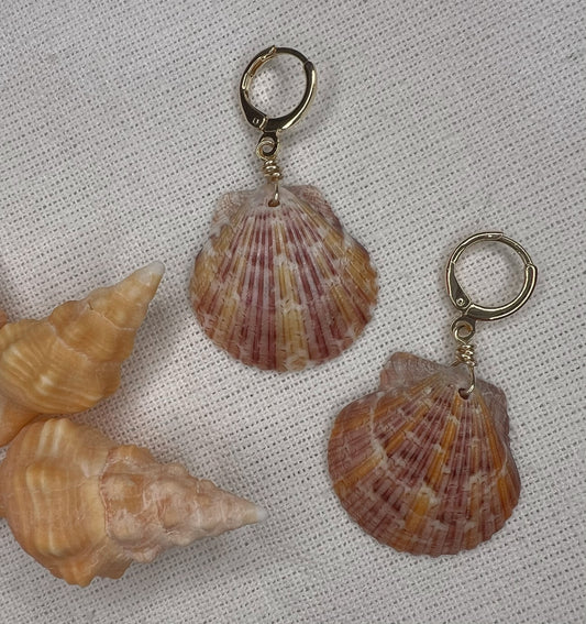 Shell Earrings