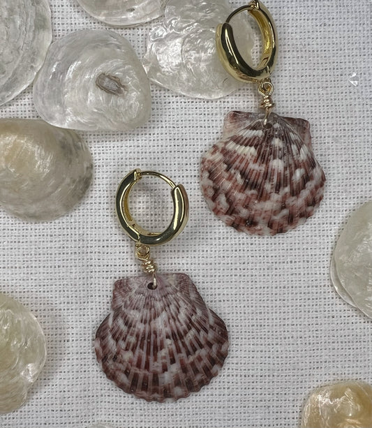 Florida Shell Earrings