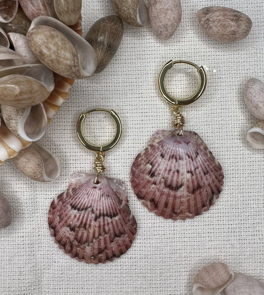 Florida Shell Earrings