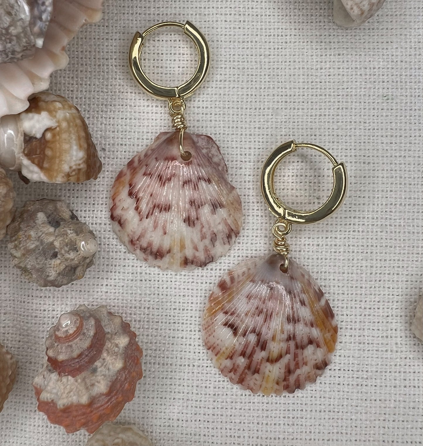 Florida Shell Earrings