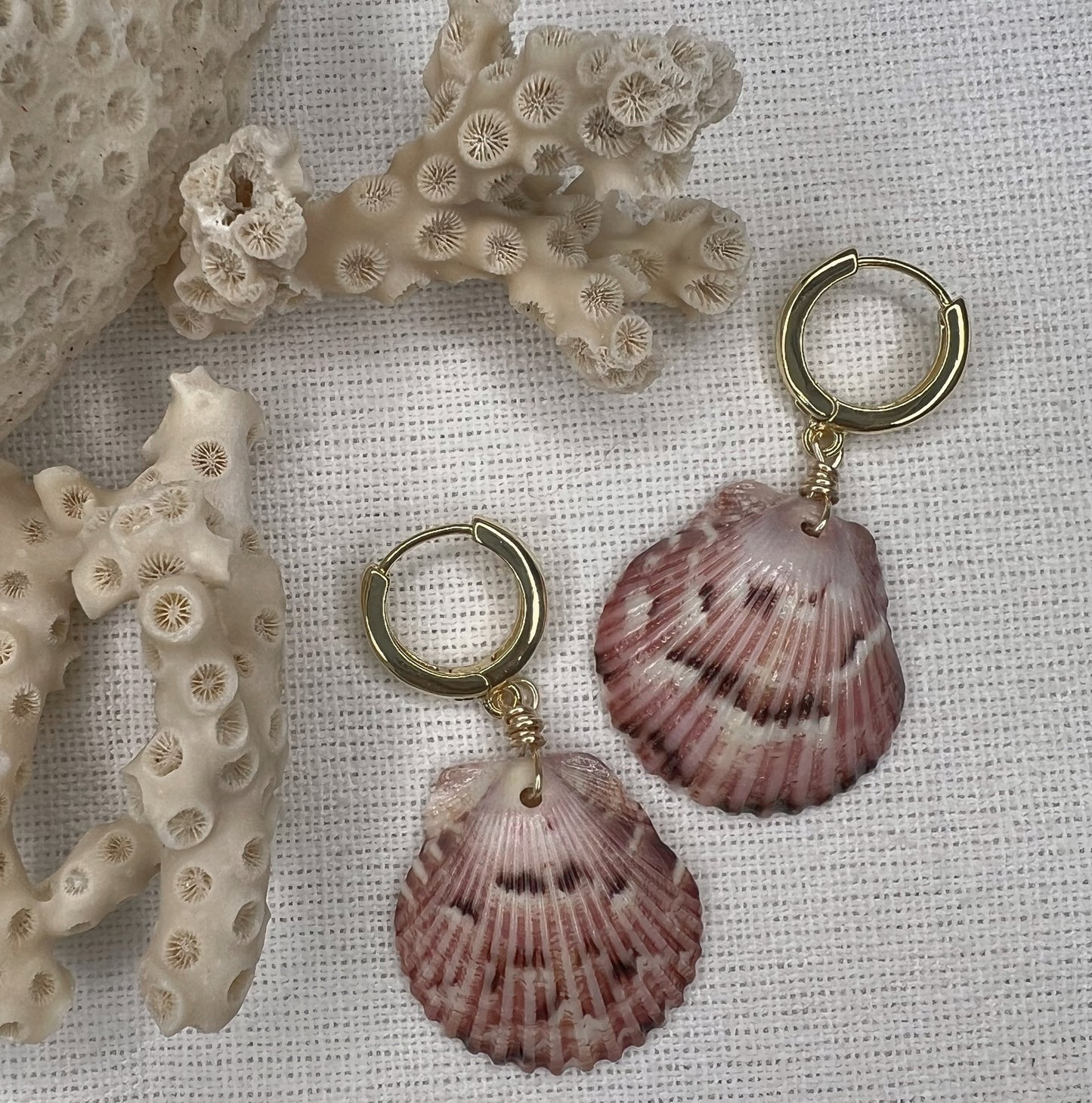 Florida Shell Earrings