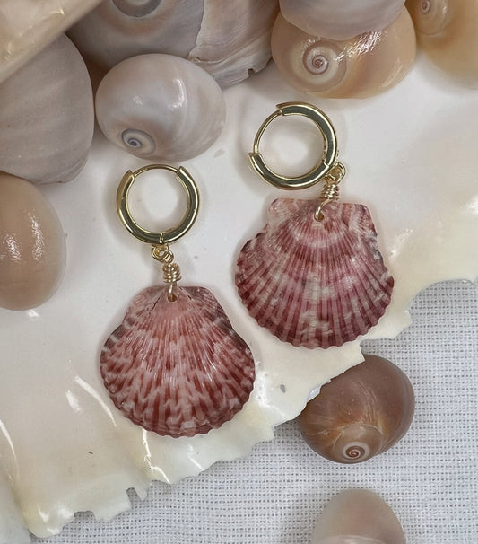 Florida Shell Earrings