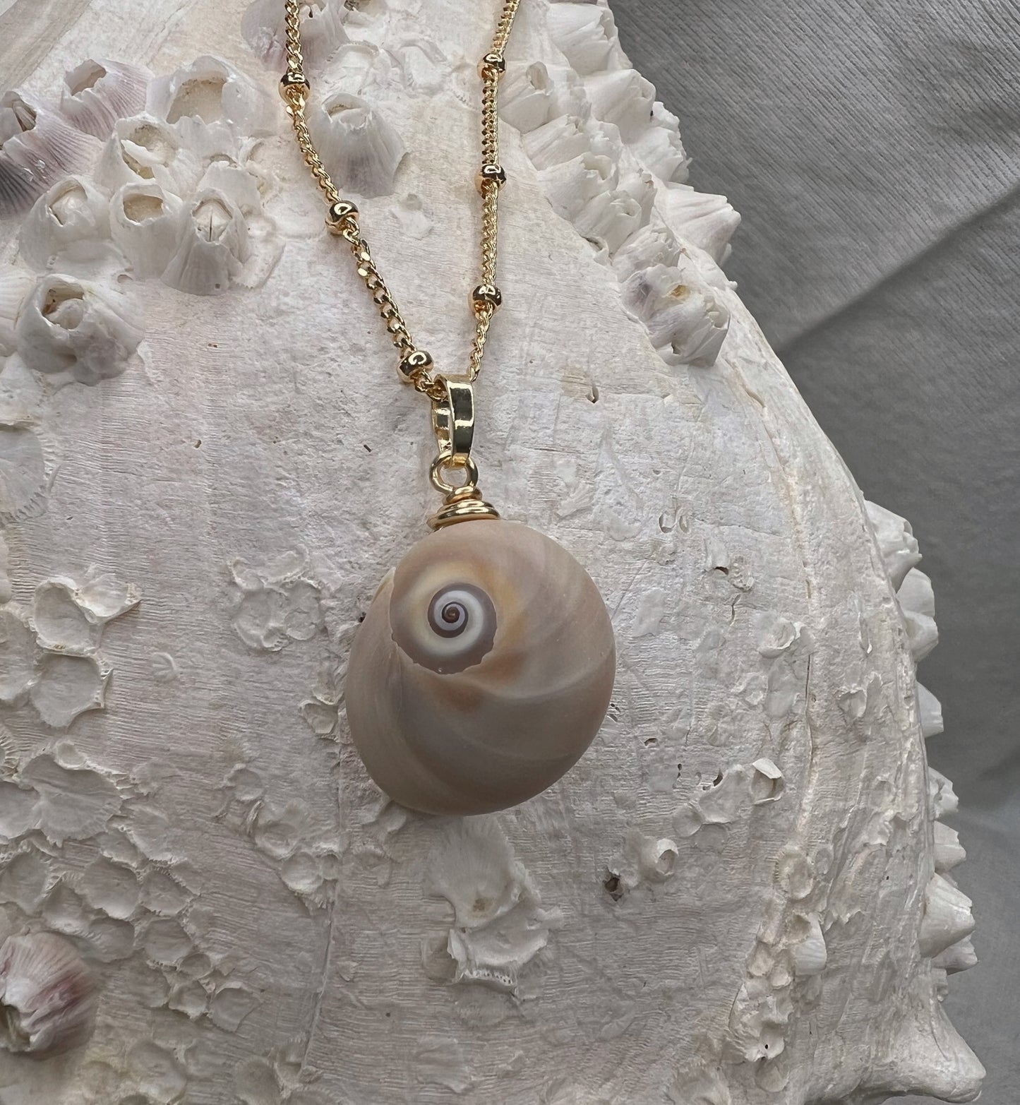 Shark Eye Necklace