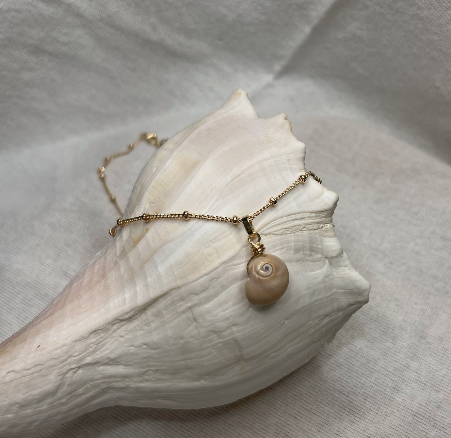 Shark Eye Necklace