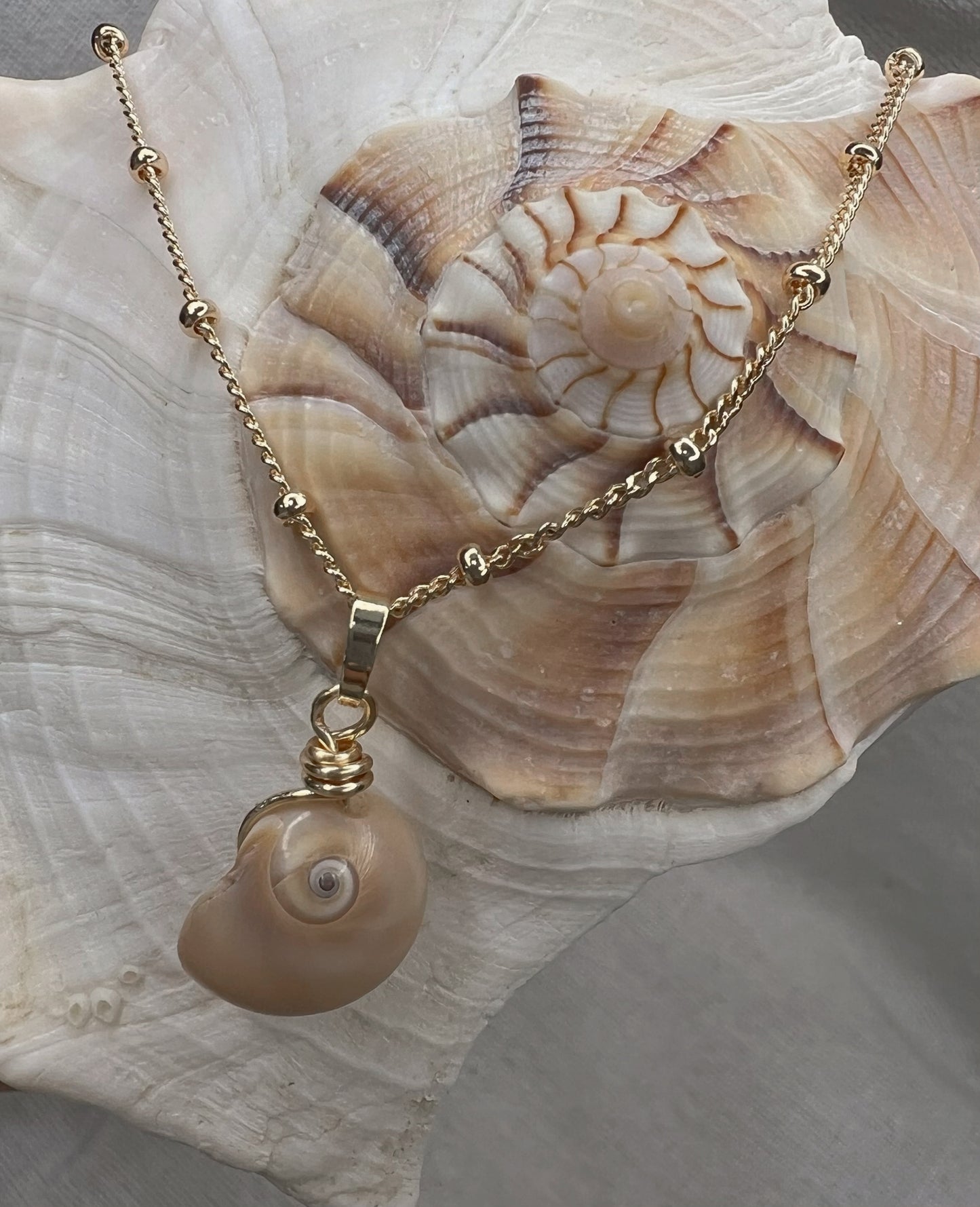 Shark Eye Necklace