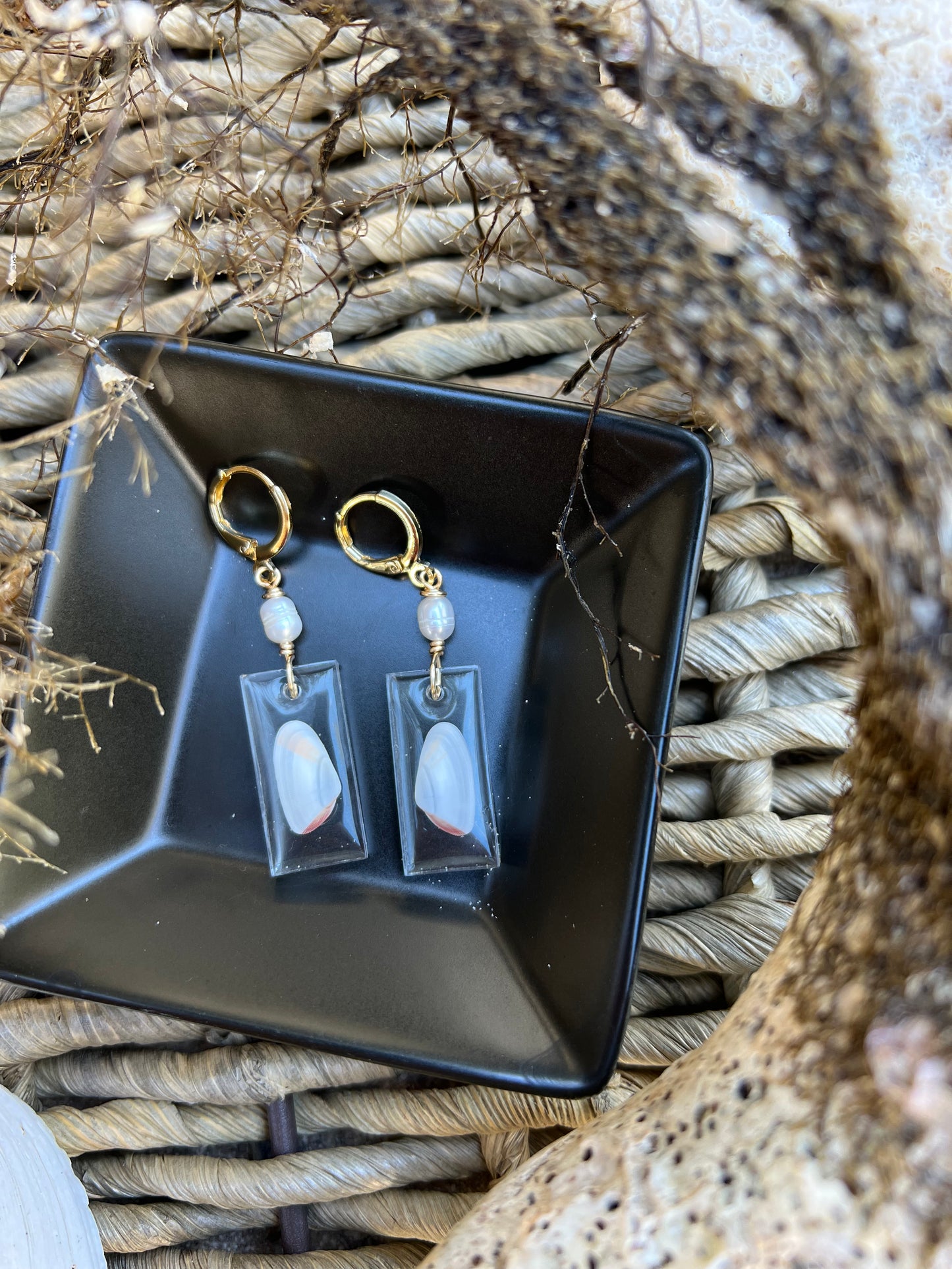 Coquina Shell Earrings