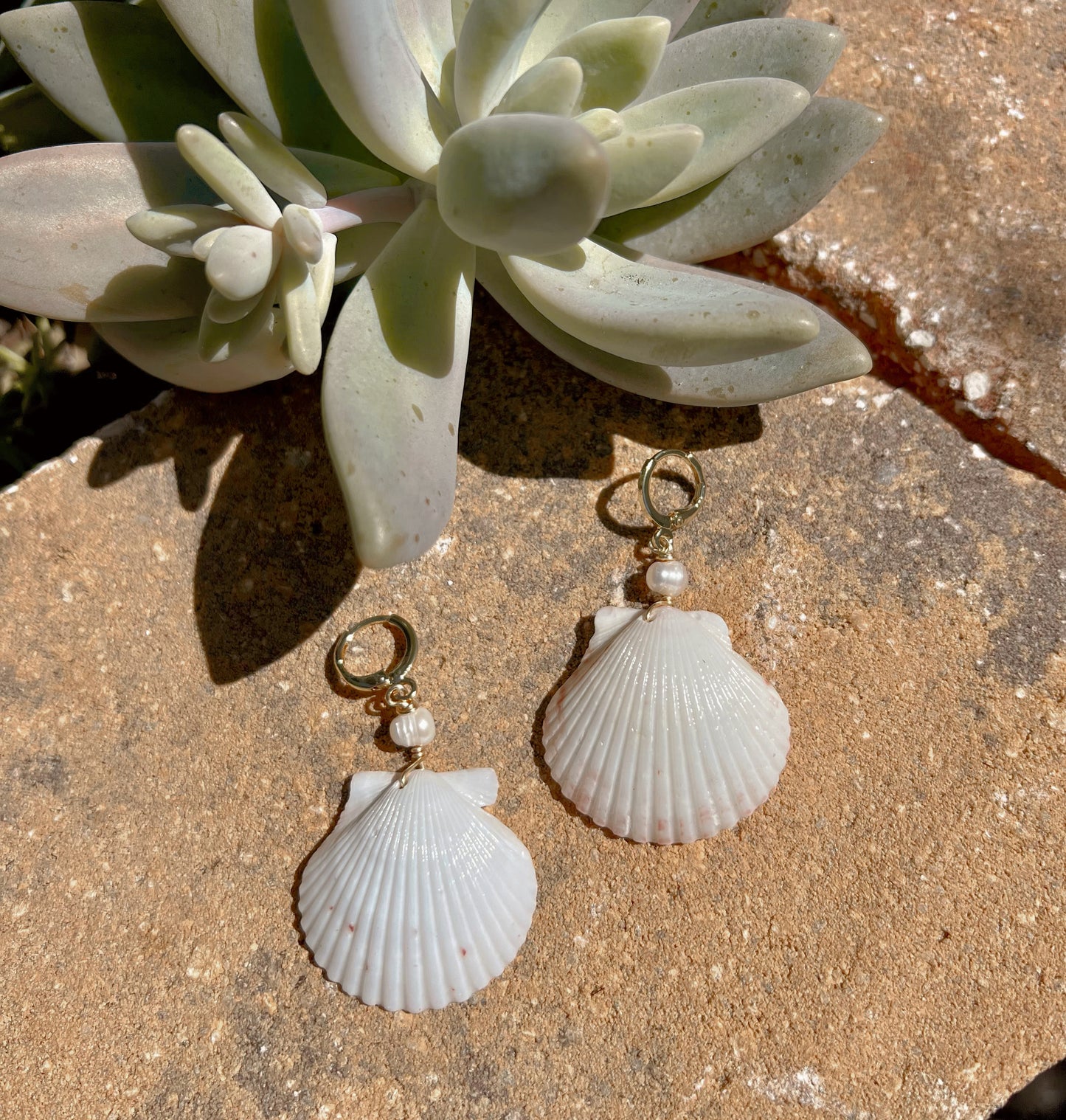 White Scallop Shell Earrings