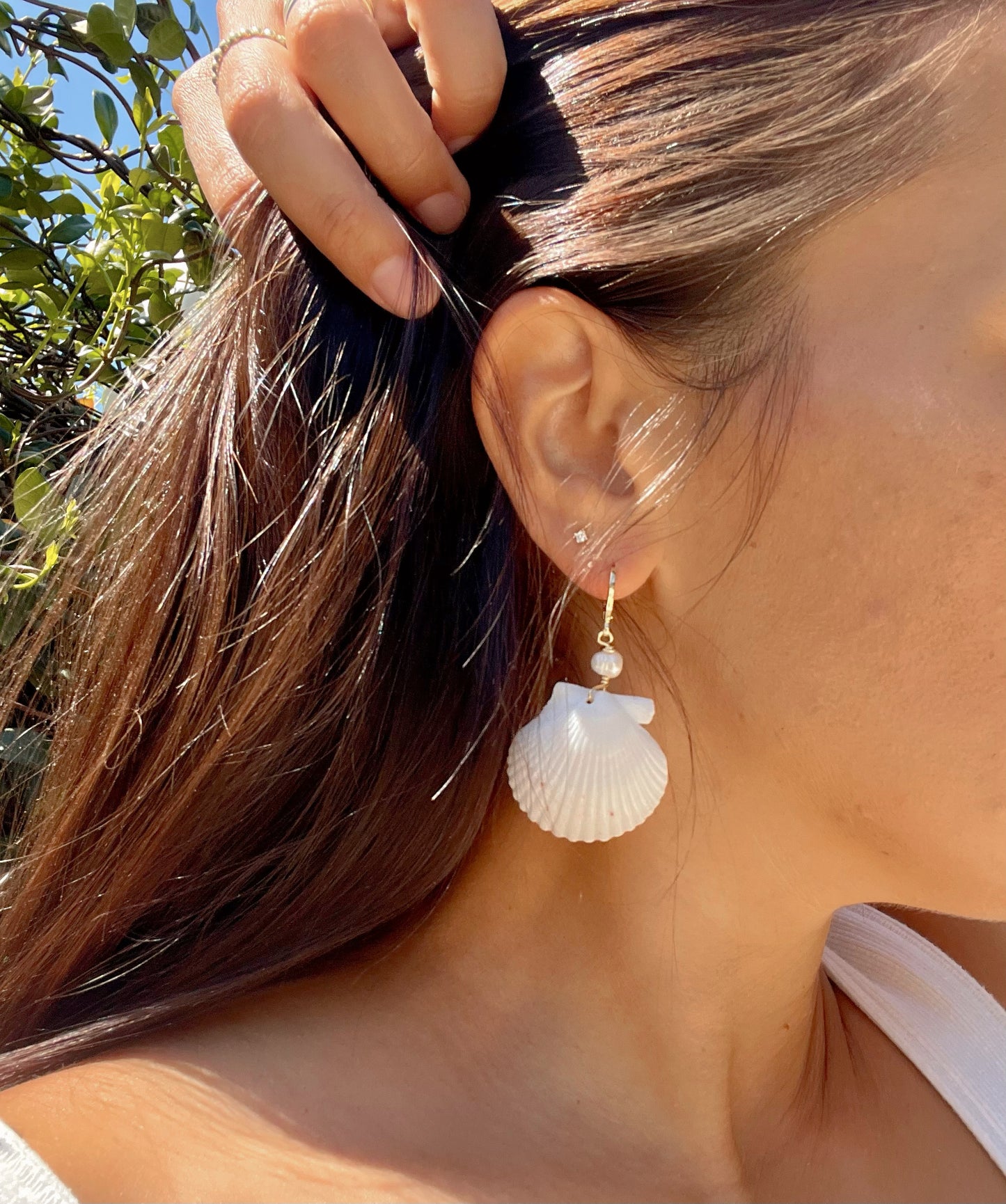 White Scallop Shell Earrings