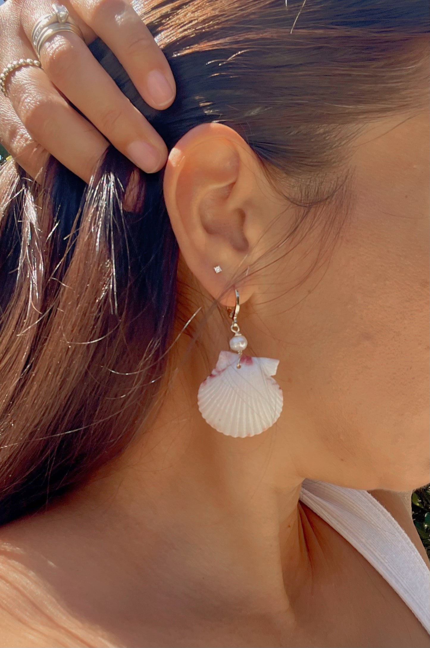 White Scallop Shell Earrings