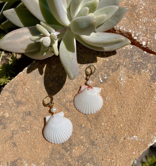 White Scallop Shell Earrings