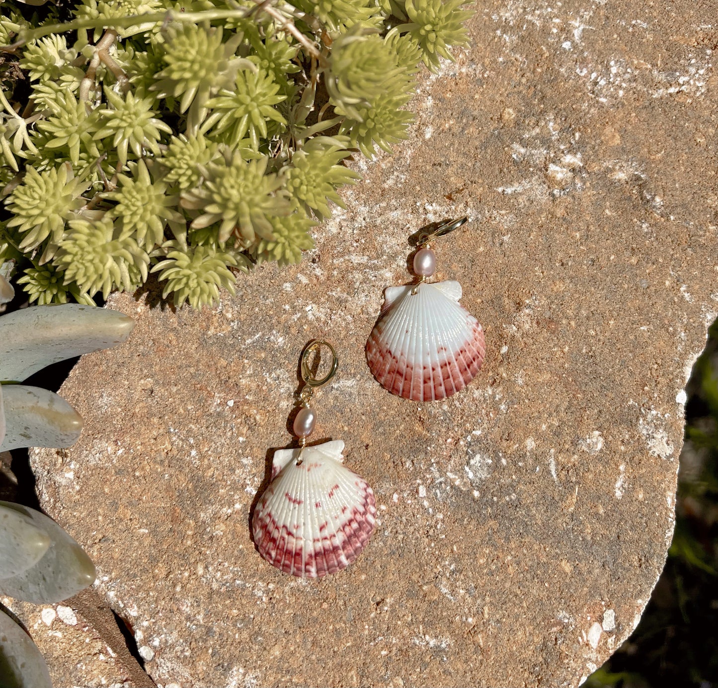 Scallop Shell Earrings